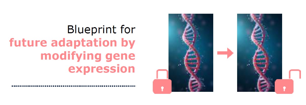 human-brain-development